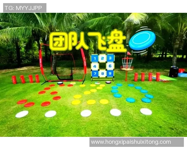 飞盘巨献：探秘北京飞盘队的配合