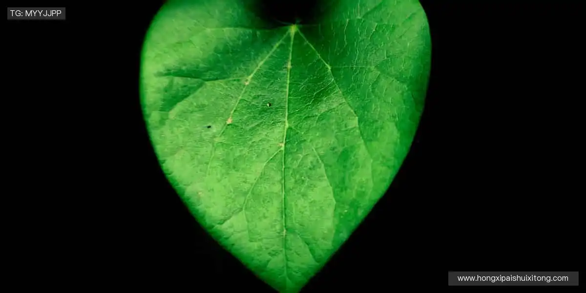 每一次挥汗如雨，都是为了更闪耀的登场！✨